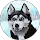 Hon profile picture